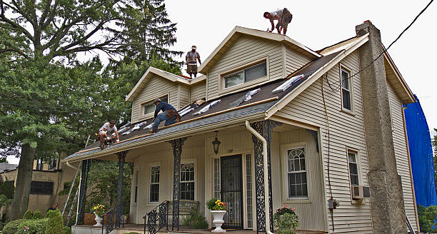 Roof Gutter Cleaning in Bowling Green, VA